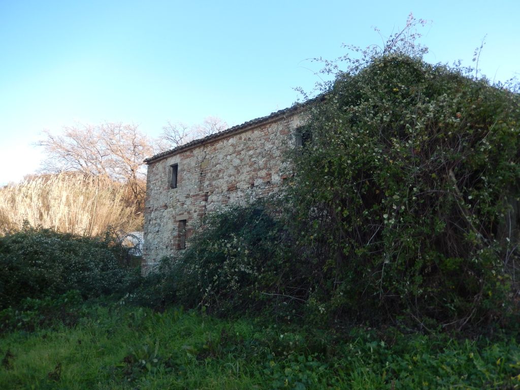 Rustici e Casali in vendita a Campofilone