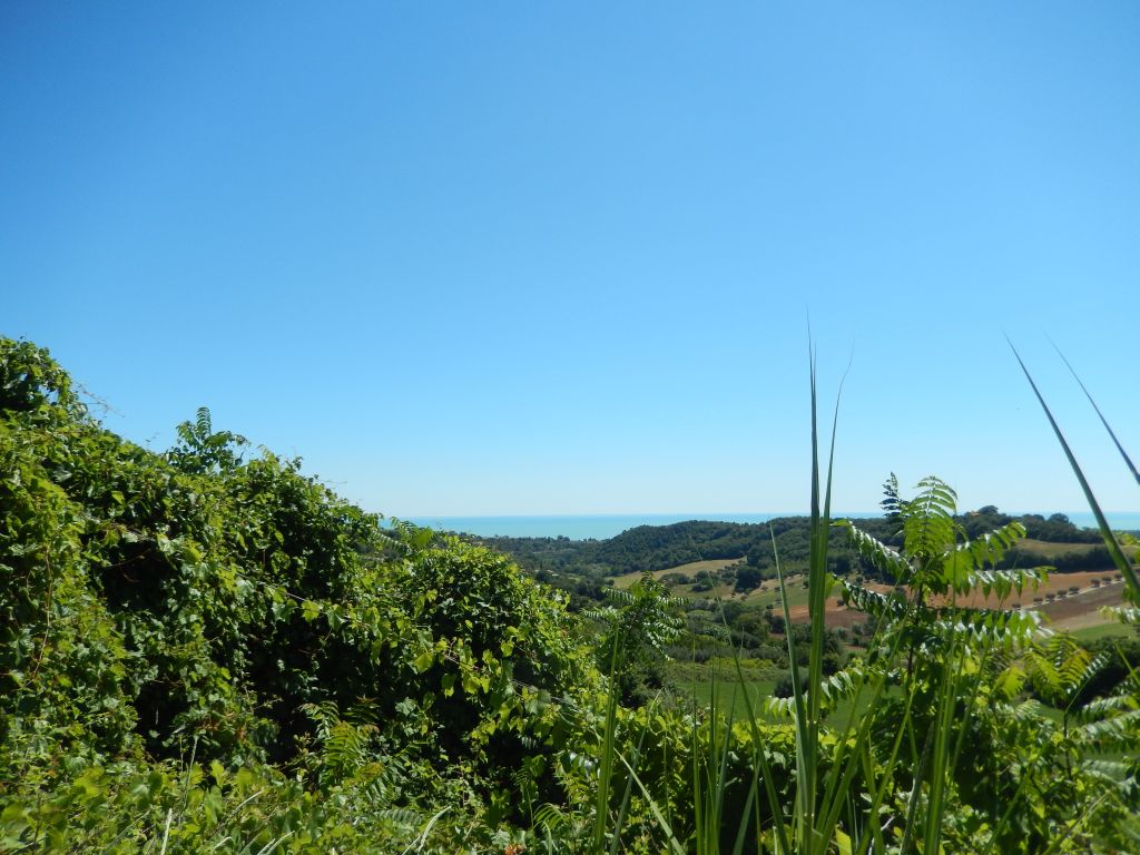 Rustici e Casali in vendita a Altidona