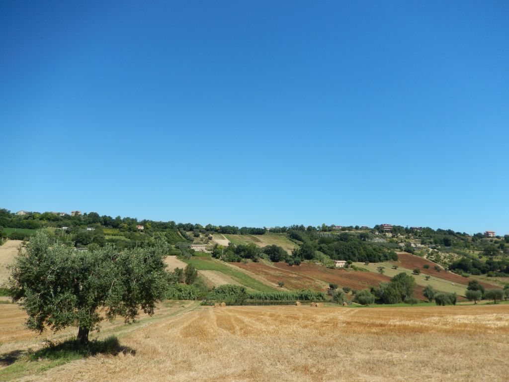 Rustici e Casali in vendita a Altidona