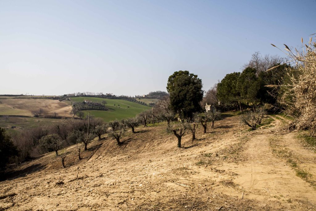 Rustici e Casali in vendita a Massignano