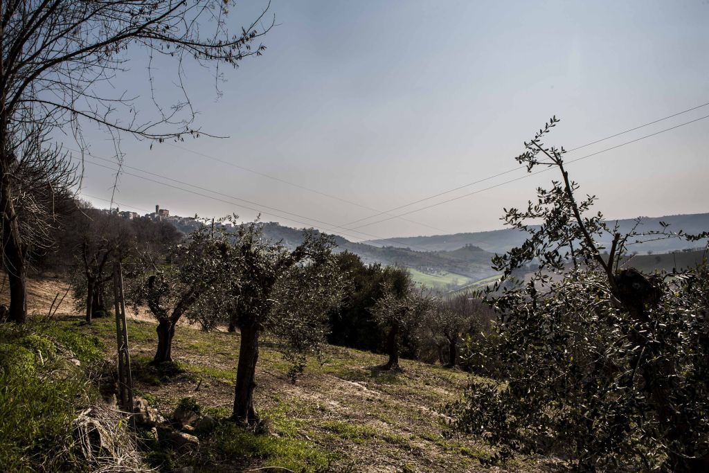 Rustici e Casali in vendita a Massignano