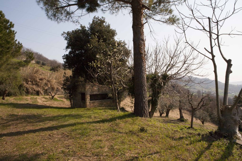 Rustici e Casali in vendita a Massignano