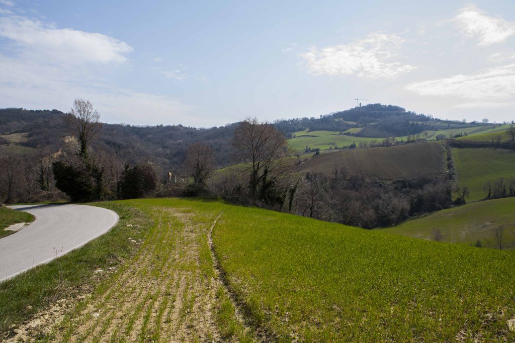 Rustici e Casali in vendita a Montedinove