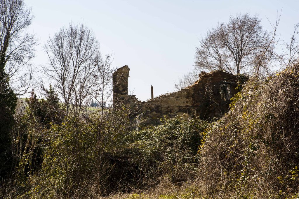 Rustici e Casali in vendita a Montedinove