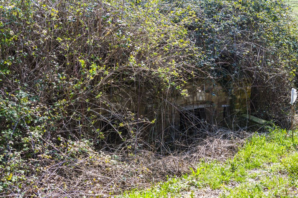 Rustici e Casali in vendita a Montedinove
