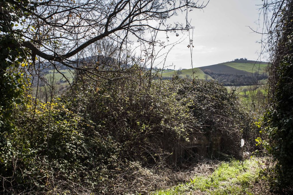 Rustici e Casali in vendita a Montedinove