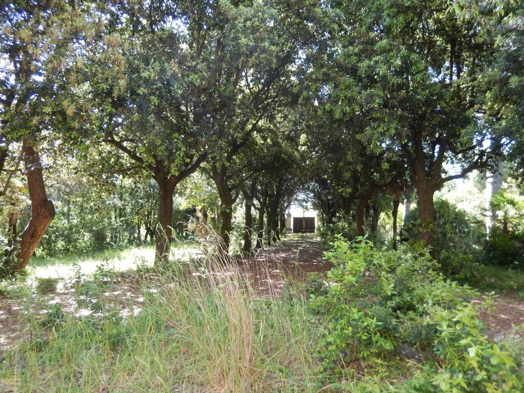 Ville di Prestigio in vendita a Porto Recanati