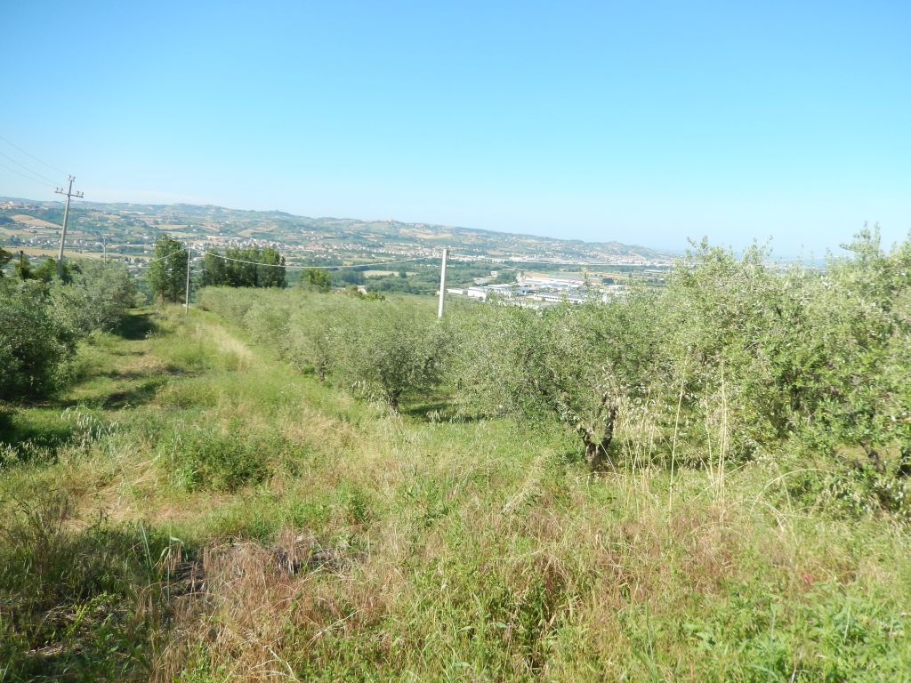 Rustici e Casali in vendita a Controguerra