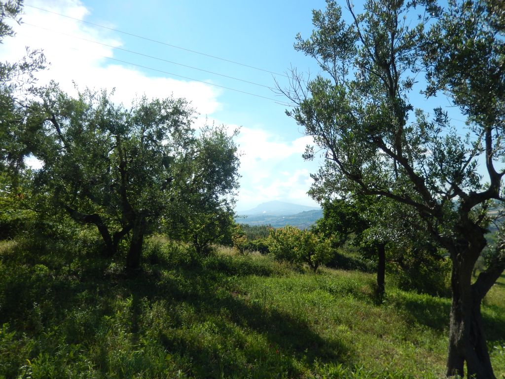 Rustici e Casali in vendita a Controguerra