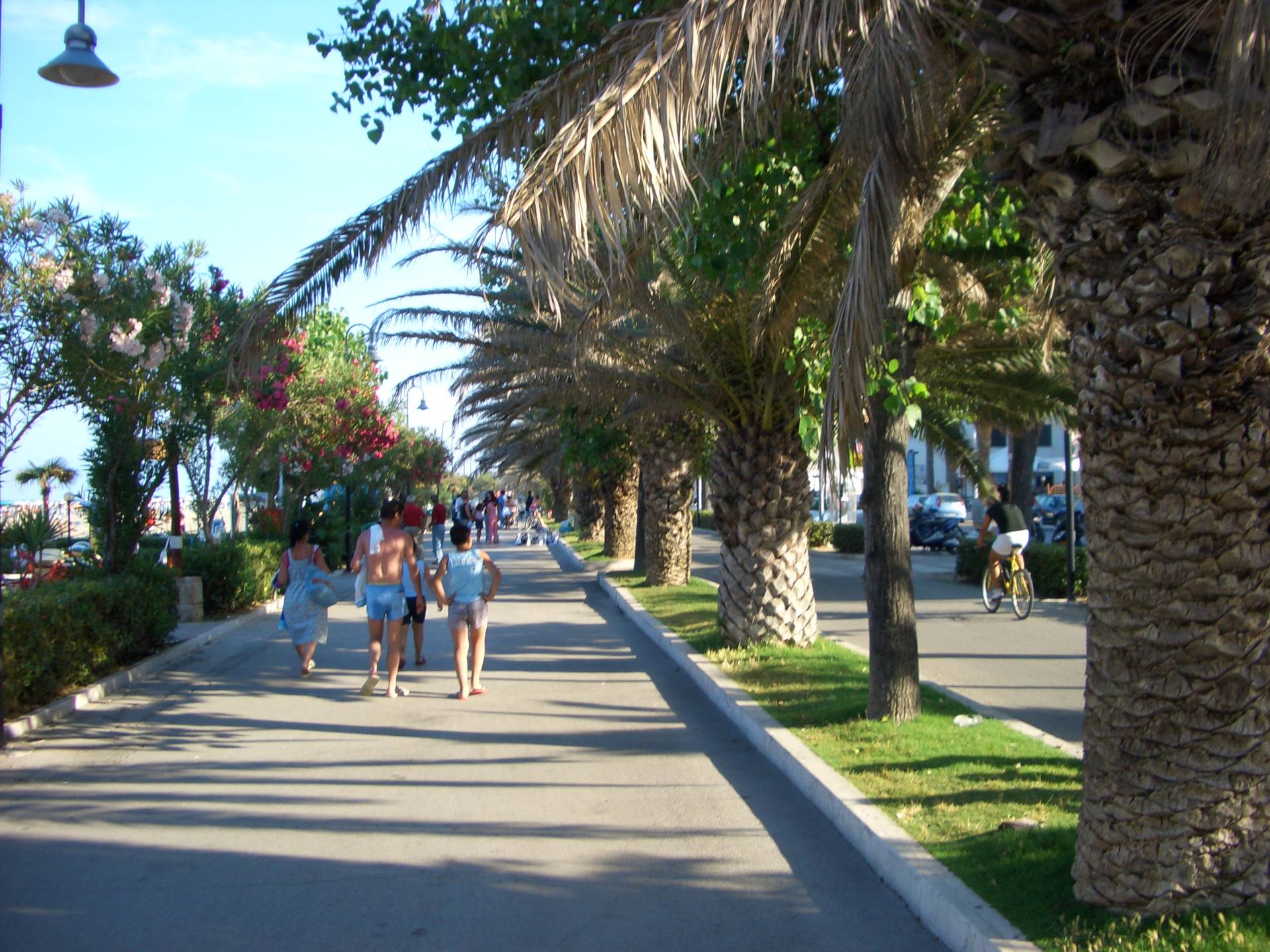 Case indipendenti in vendita a Alba Adriatica