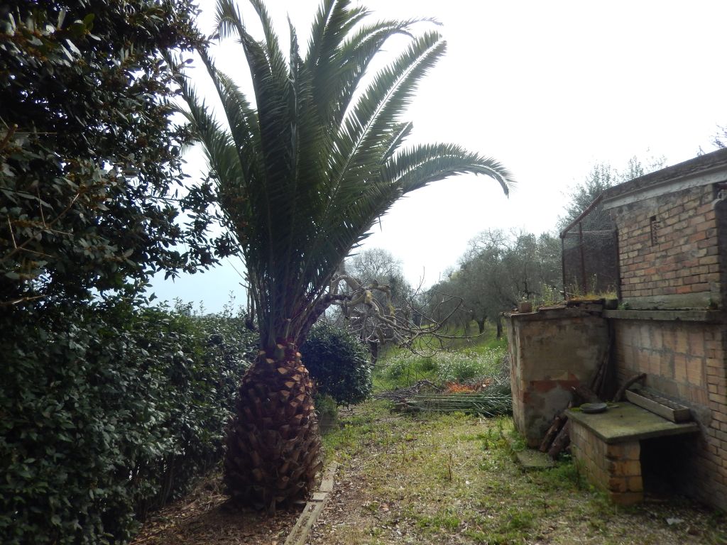 Rustici e Casali in vendita a Massignano