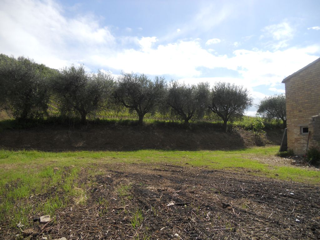 Rustici e Casali in vendita a Carassai