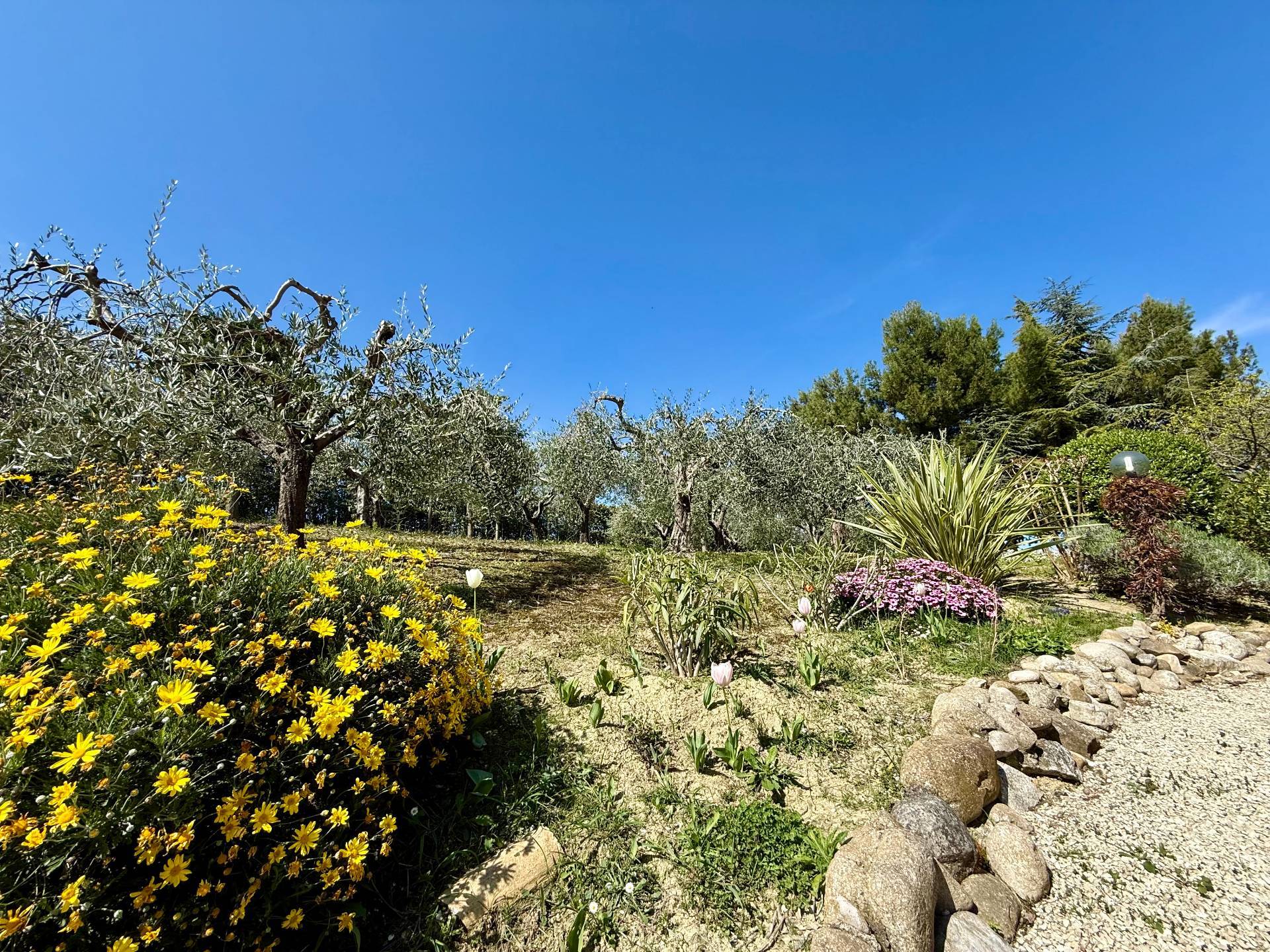 Rustici e Casali in vendita a Offida