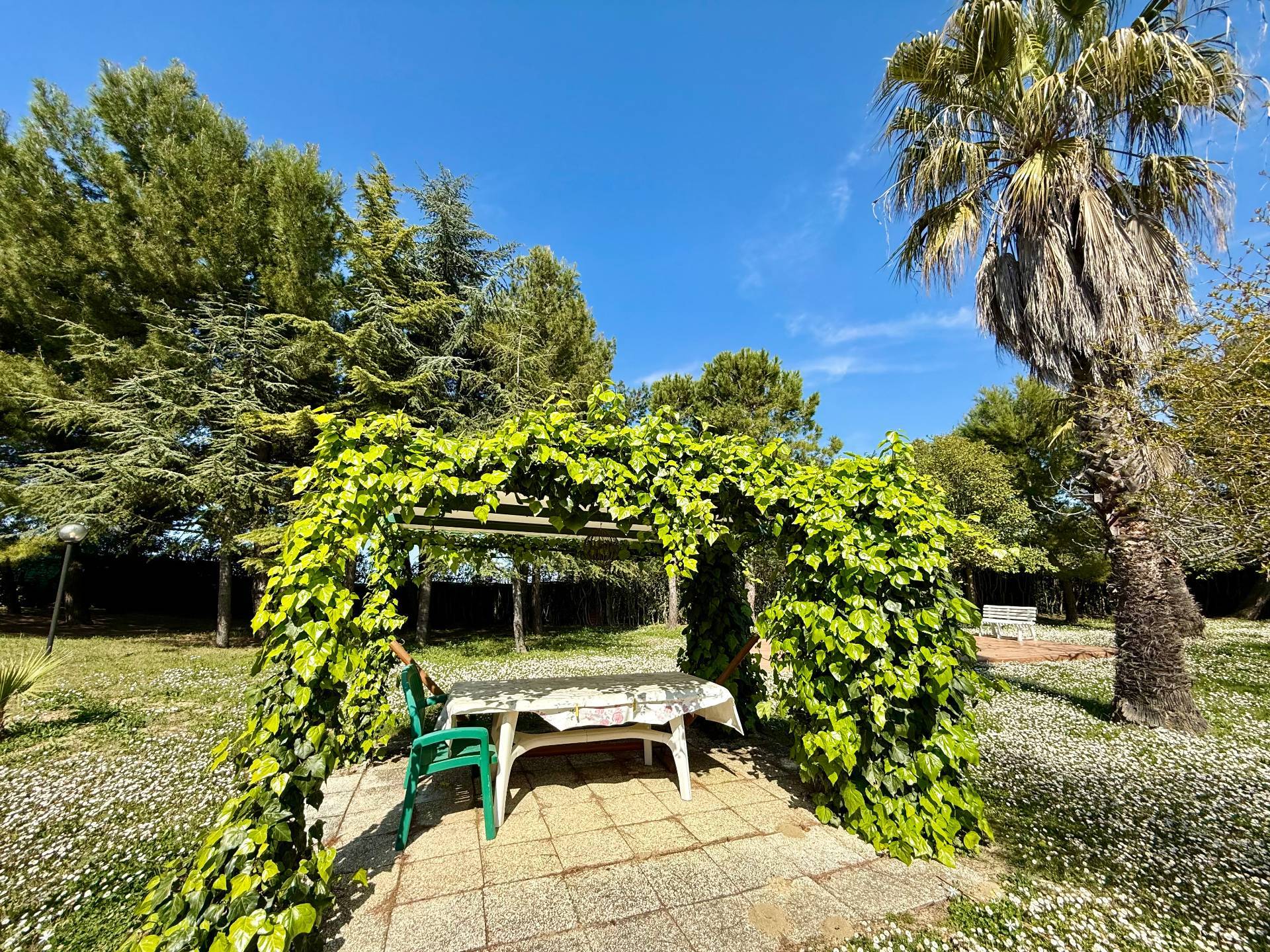 Rustici e Casali in vendita a Offida