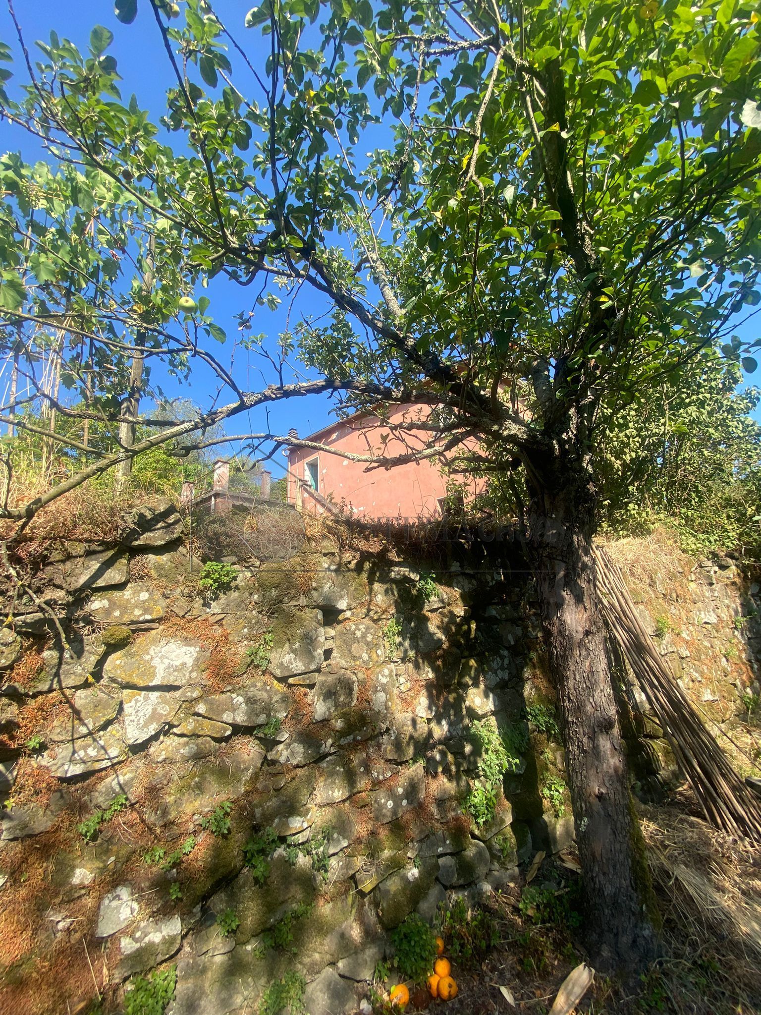 Casa indipendente con terrazzo a Follo