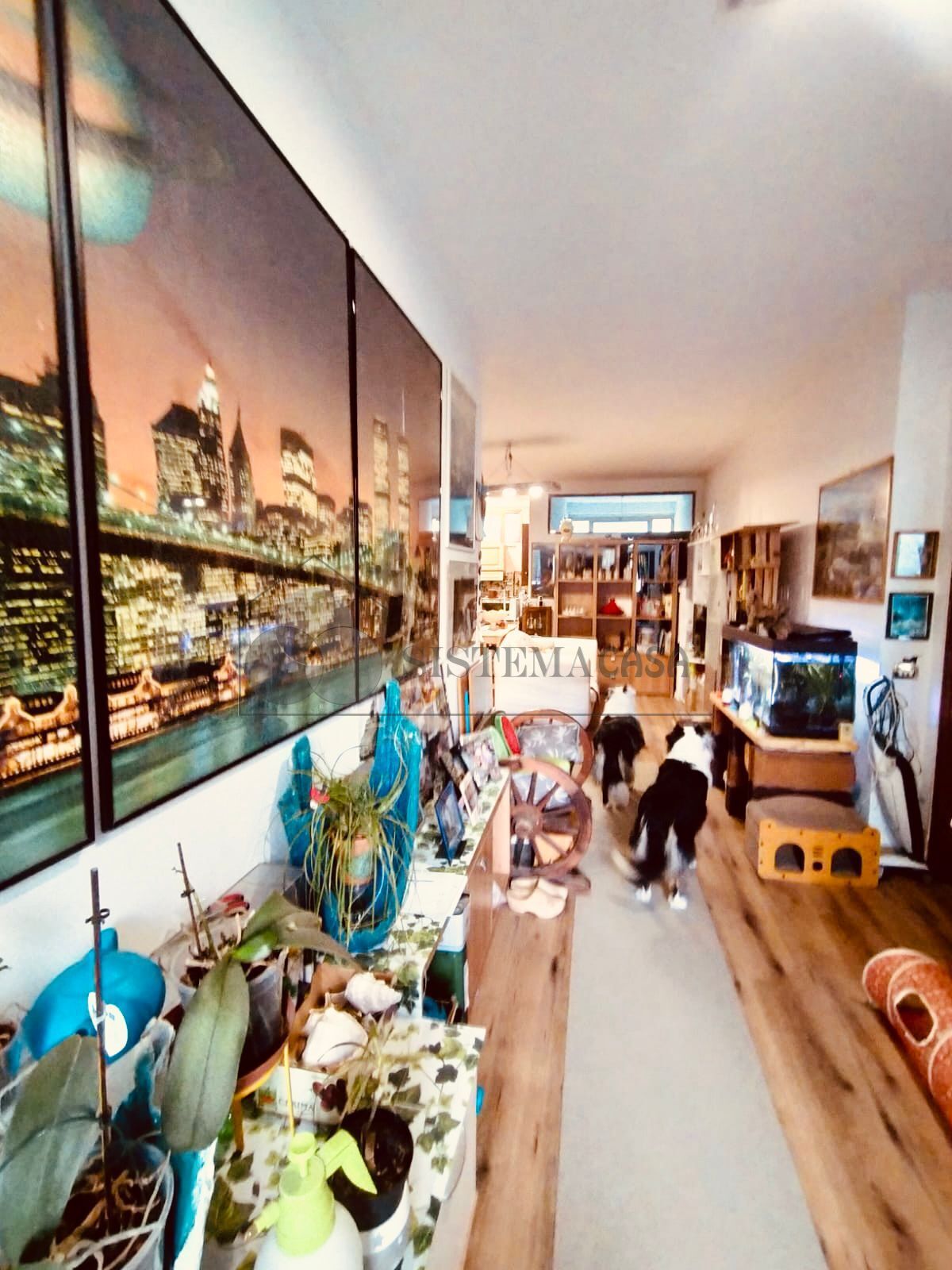 Casa indipendente con giardino a Follo