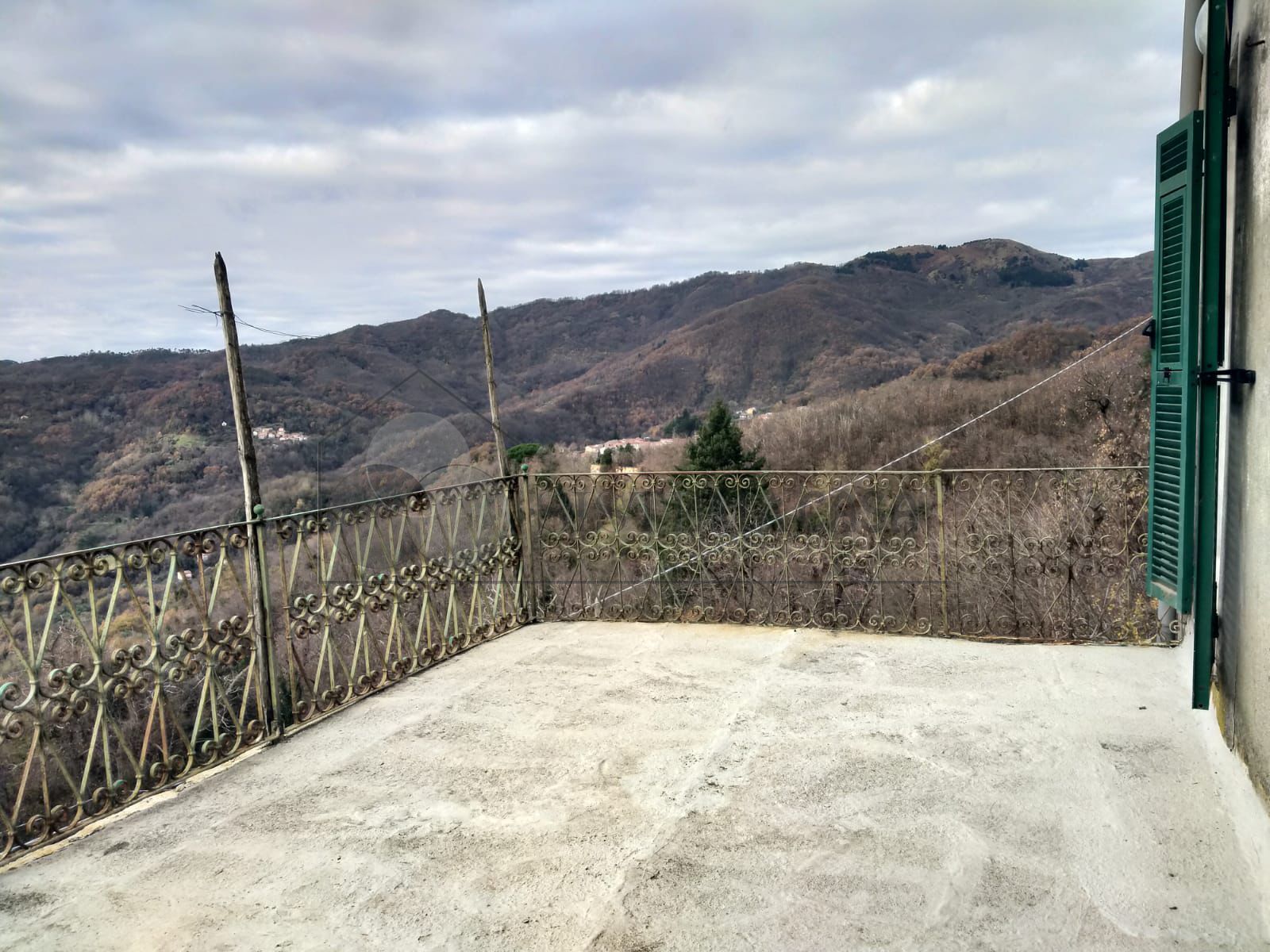 immagine annuncio 2 di 6