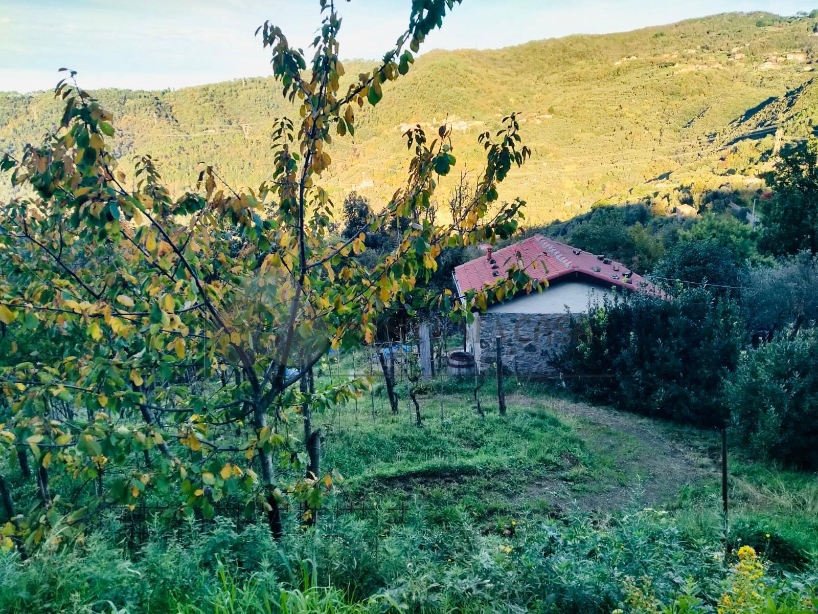 Casa indipendente ristrutturata in via vallacara 3, Fosdinovo
