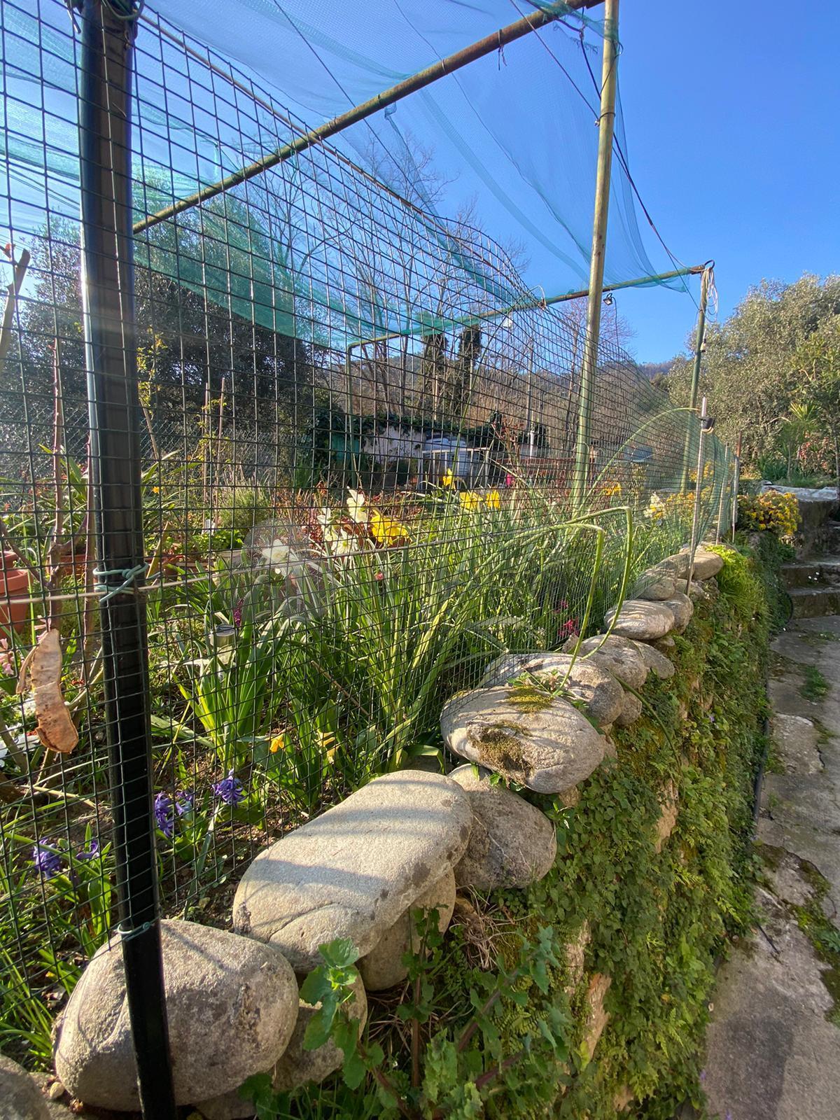 Casa indipendente da ristrutturare in via san rocco 9, Follo