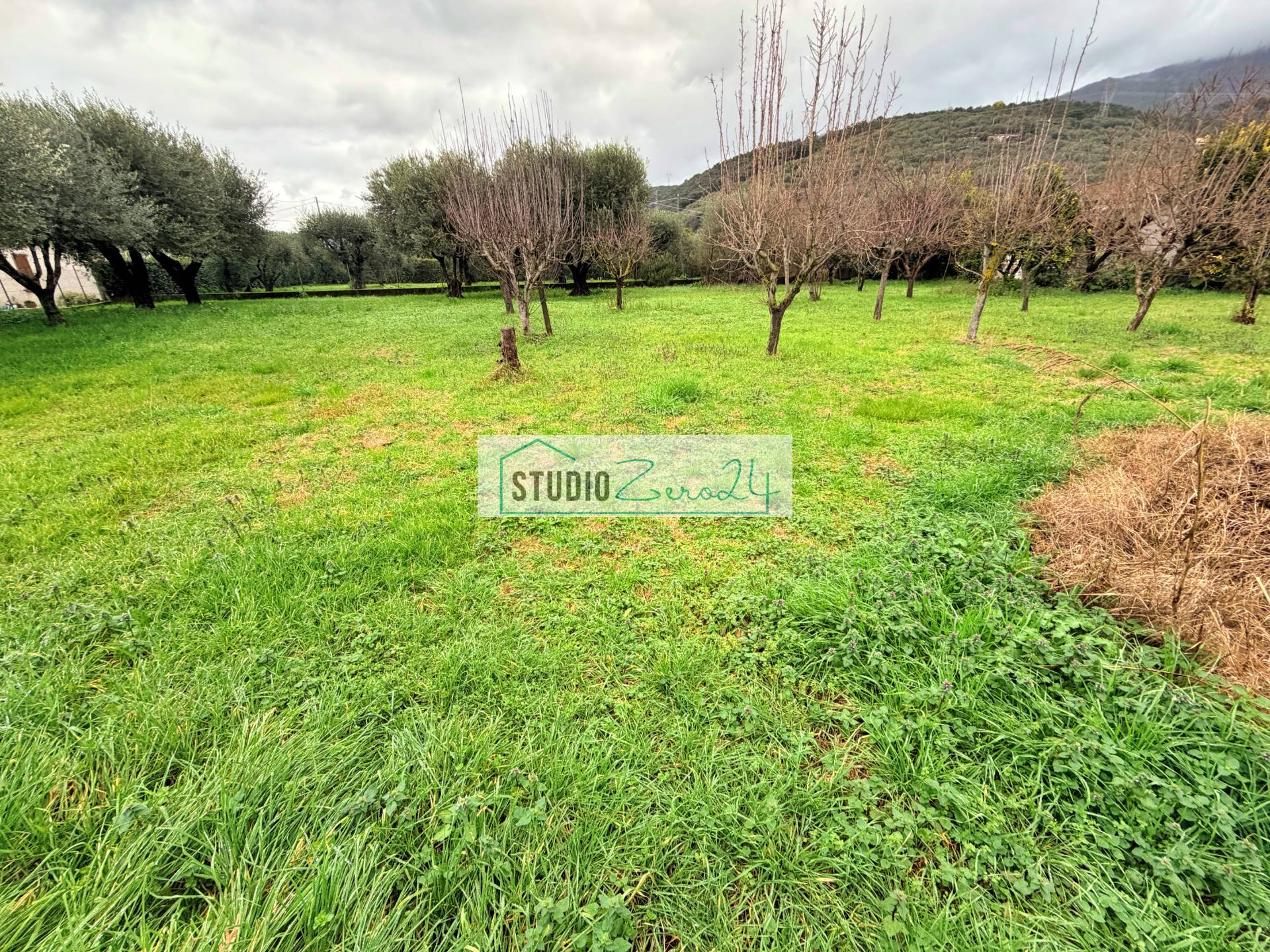 Villa in vendita a Pietrasanta, Strettoia