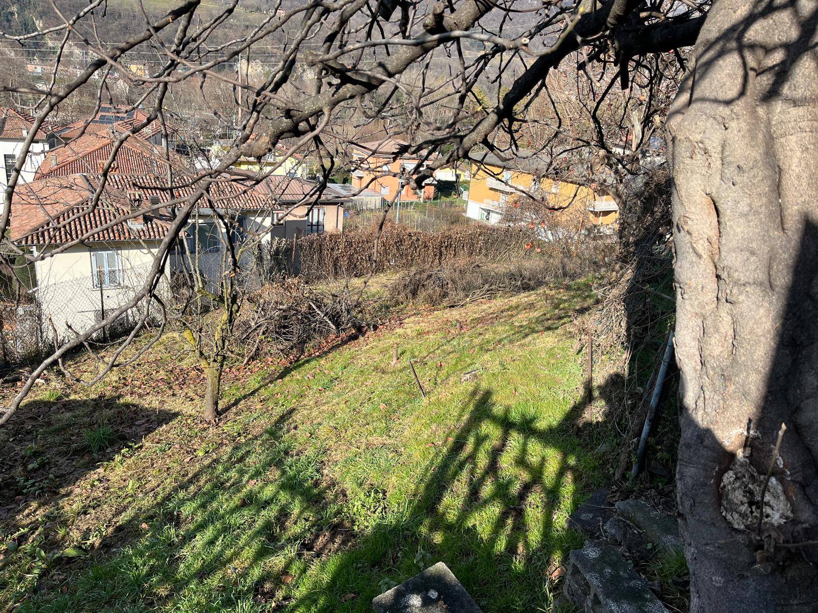 Terreno Agricolo in vendita a Pradalunga