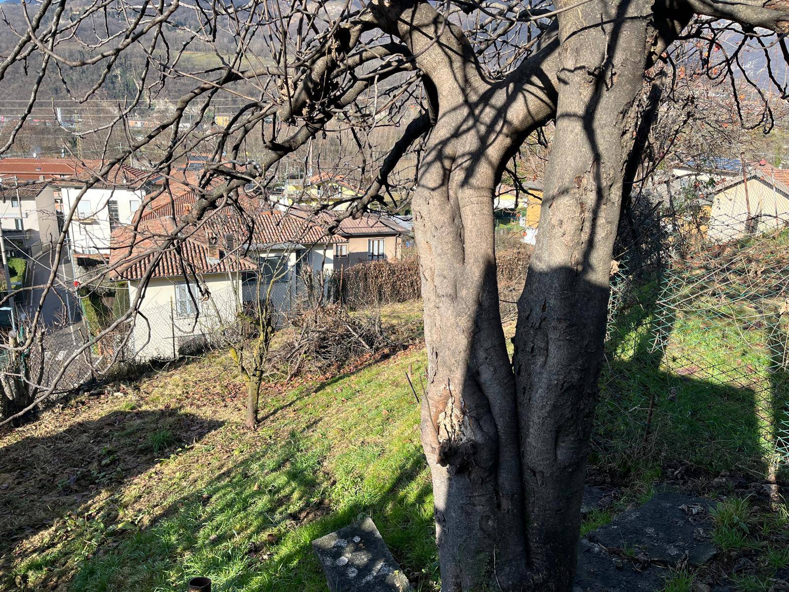 Terreno Agricolo in vendita a Pradalunga