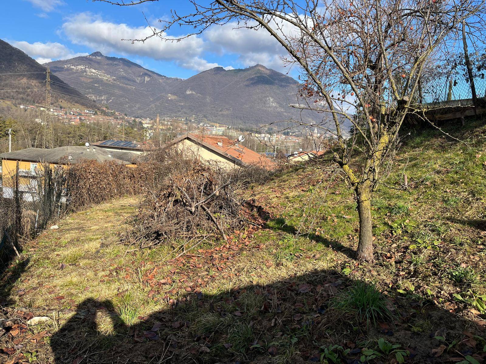 Terreno Agricolo in vendita a Pradalunga