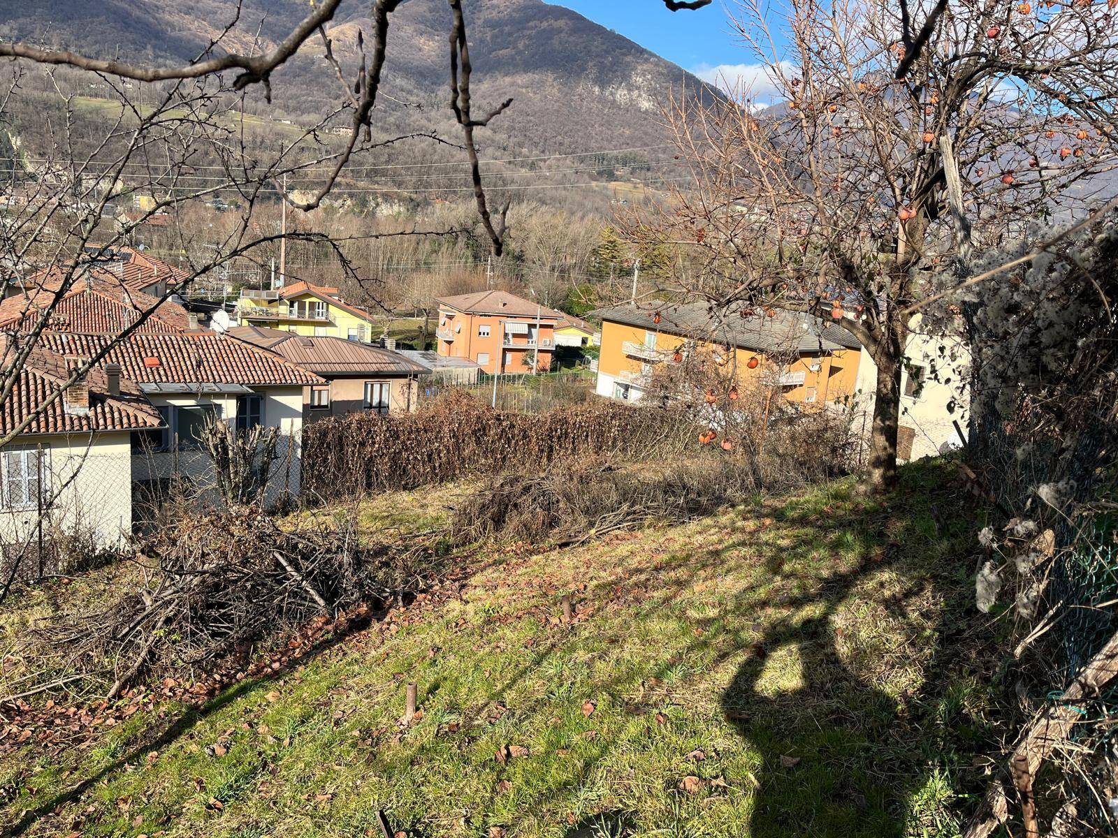 Terreno Agricolo in vendita a Pradalunga