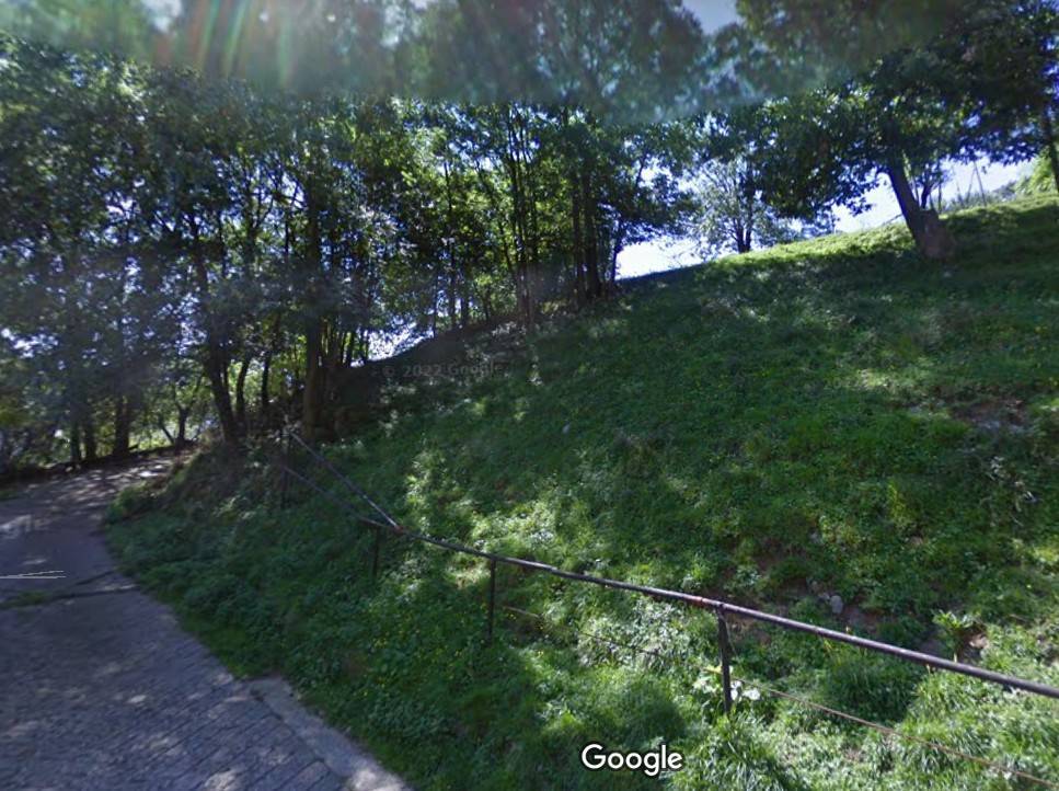 Terreno Agricolo in vendita a Gazzaniga