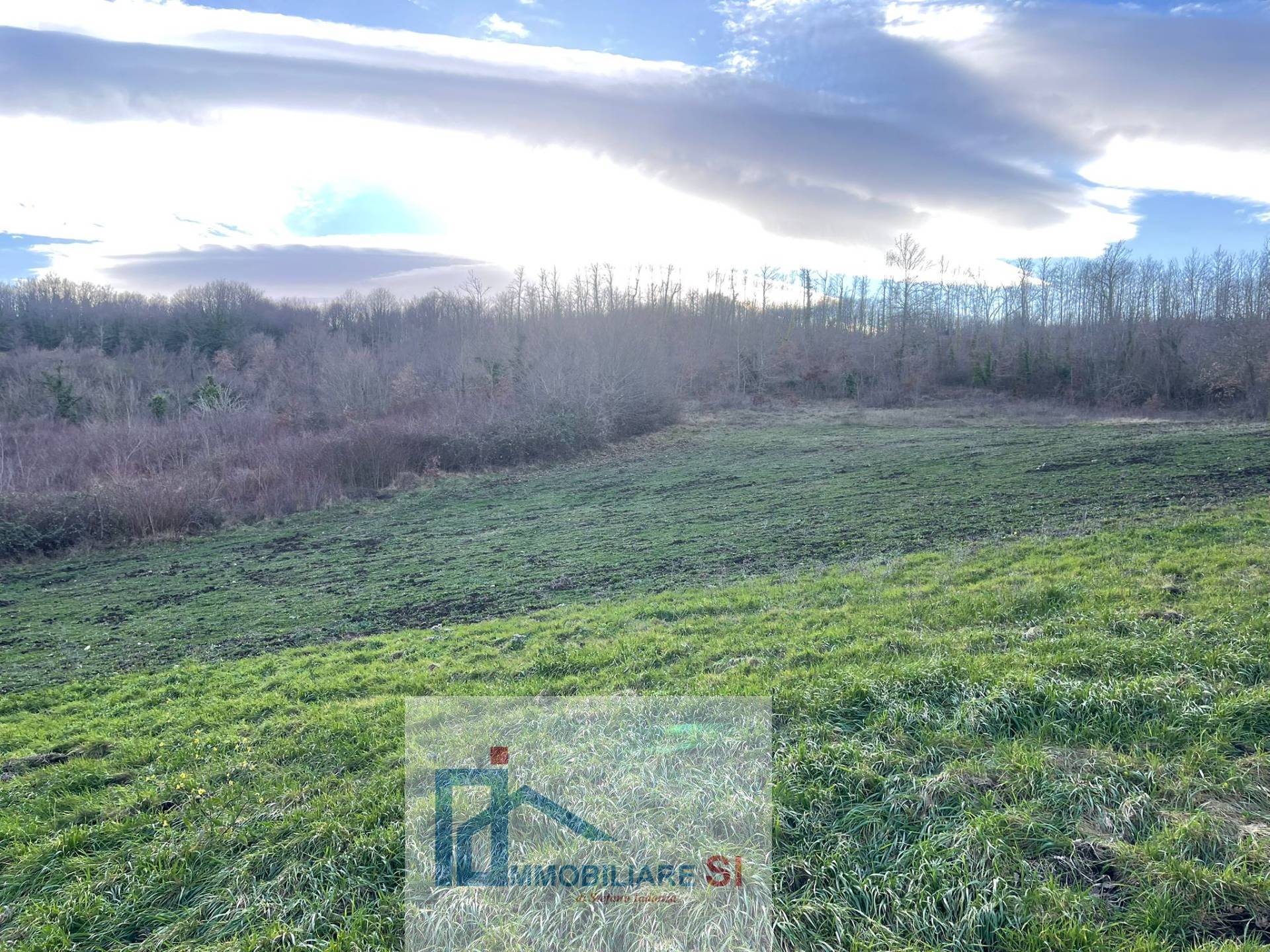 Terreno Agricolo in vendita a Riccia