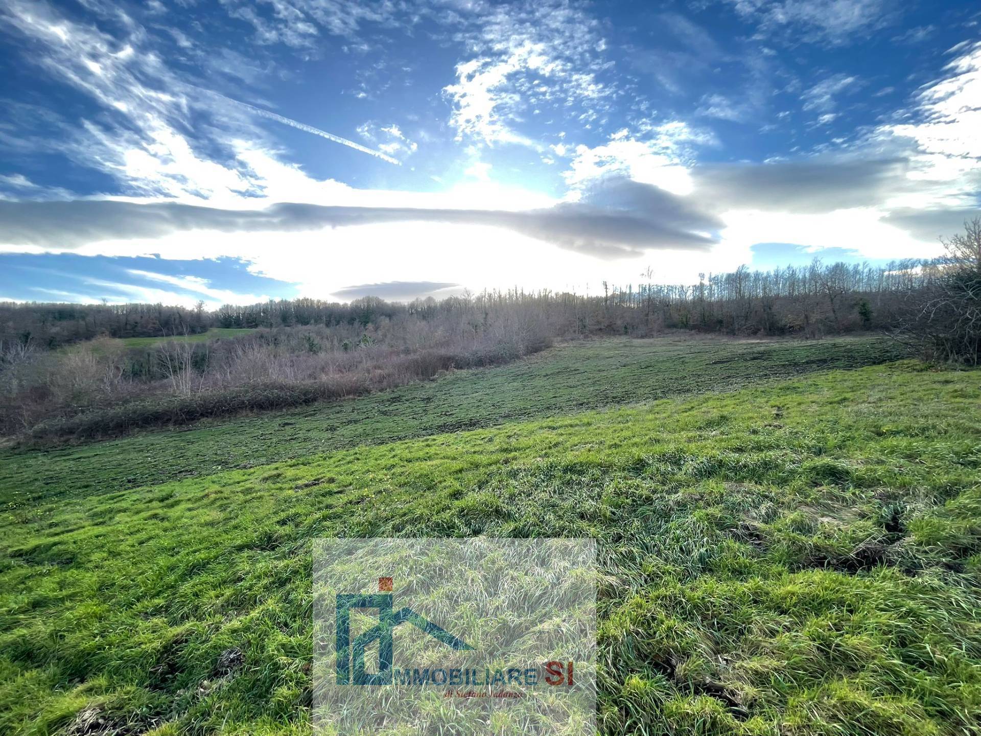 Terreno Agricolo in vendita a Riccia