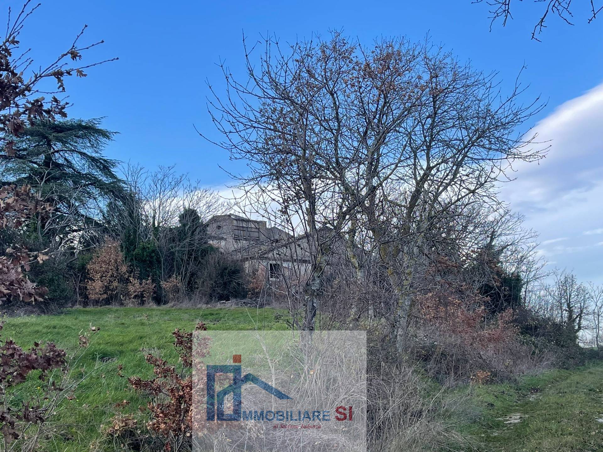 Terreno Agricolo in vendita a Riccia