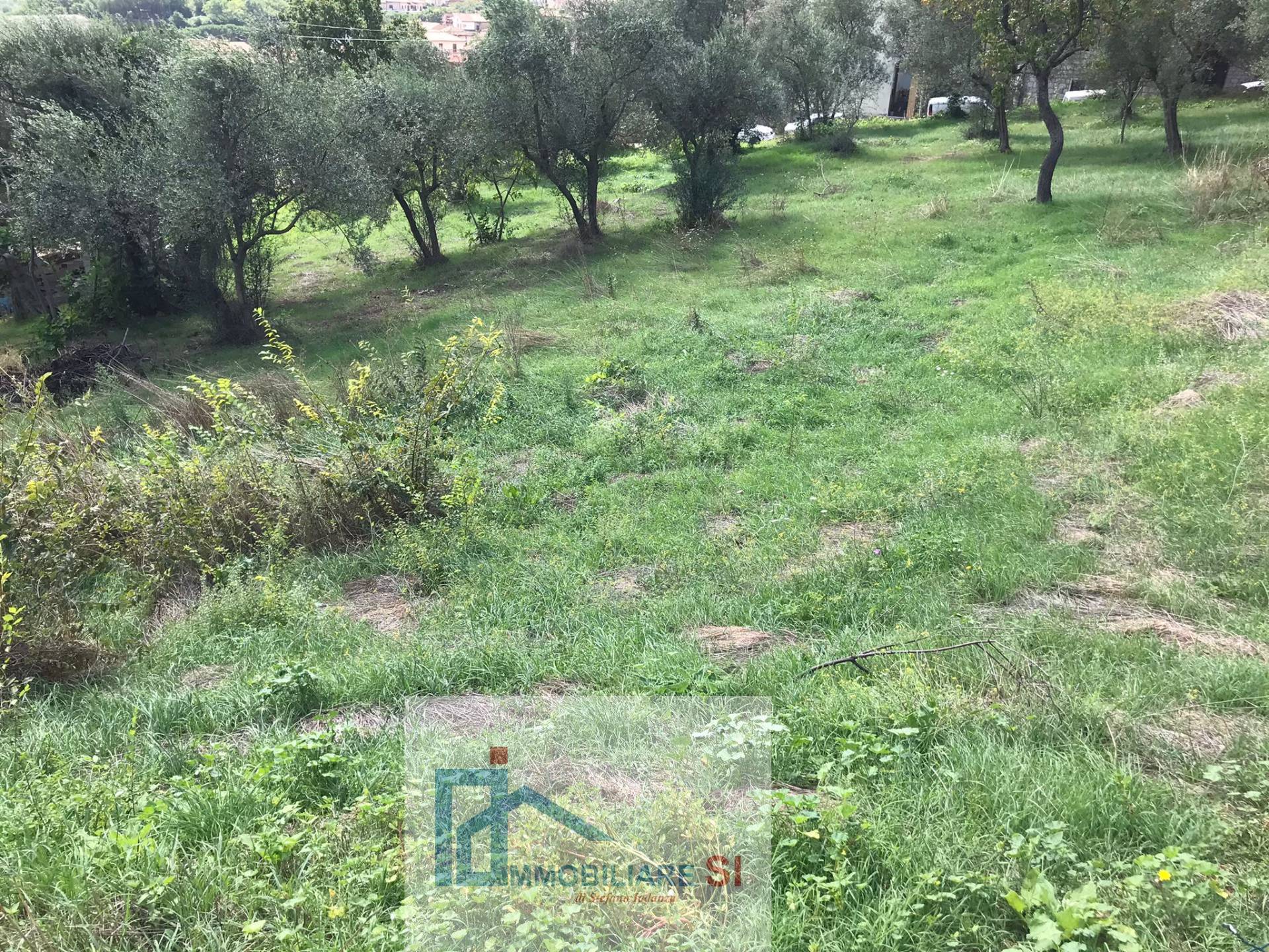 Terreno Agricolo in vendita a Cautano, Cacciano