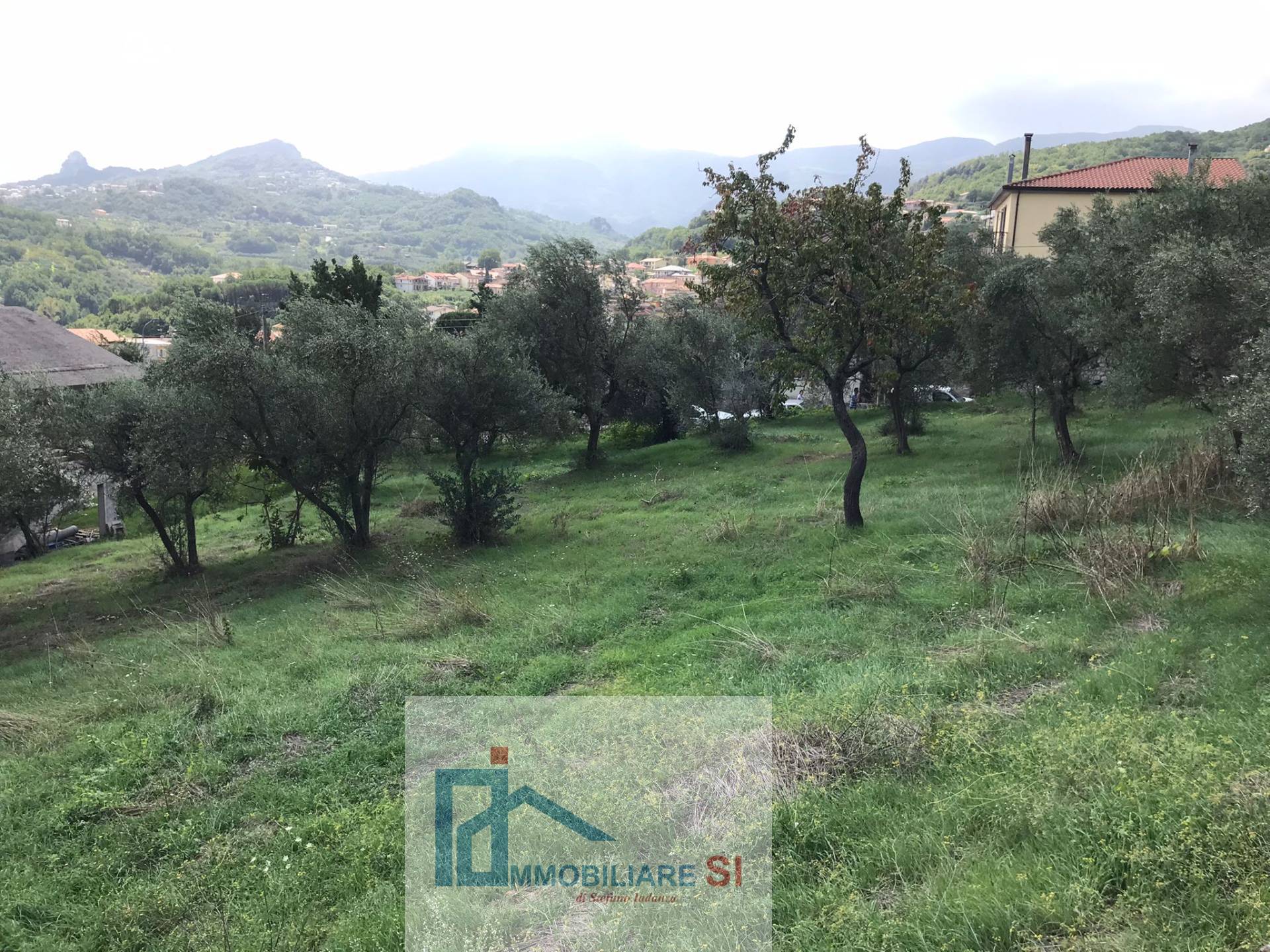 Terreno Agricolo in vendita a Cautano, Cacciano