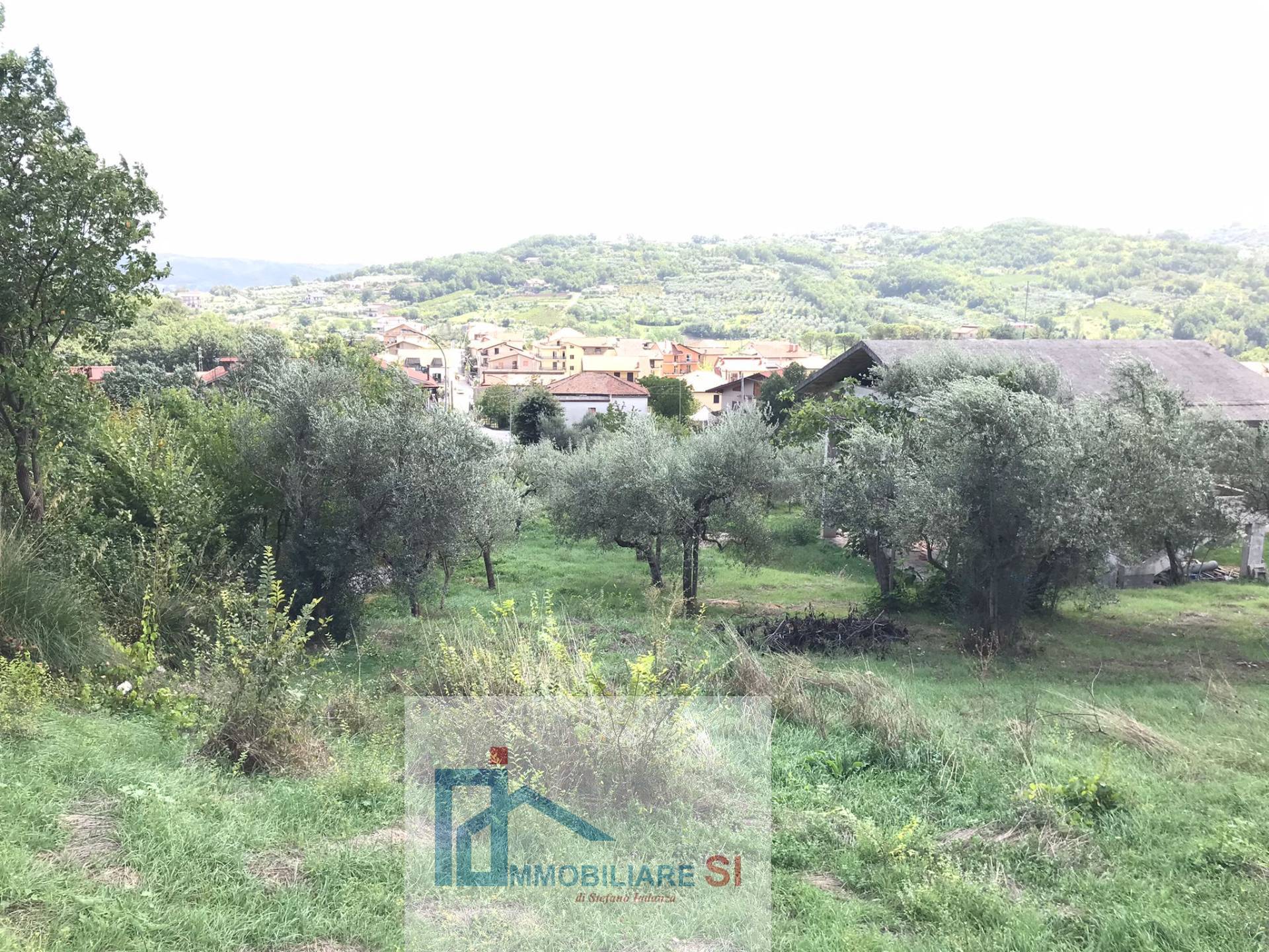 Terreno Agricolo in vendita a Cautano, Cacciano