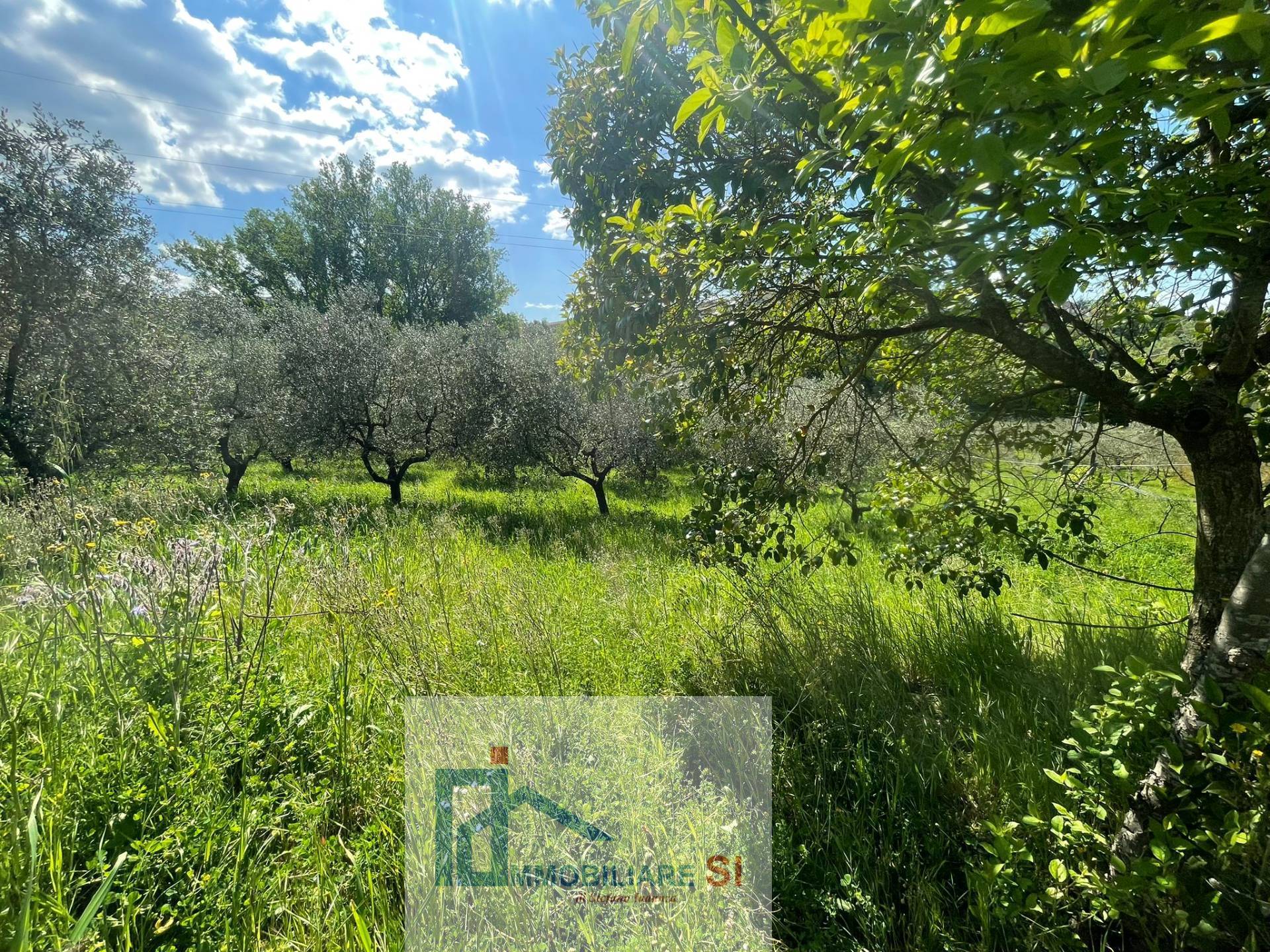 Terreno Agricolo in vendita a Benevento, Cretarossa