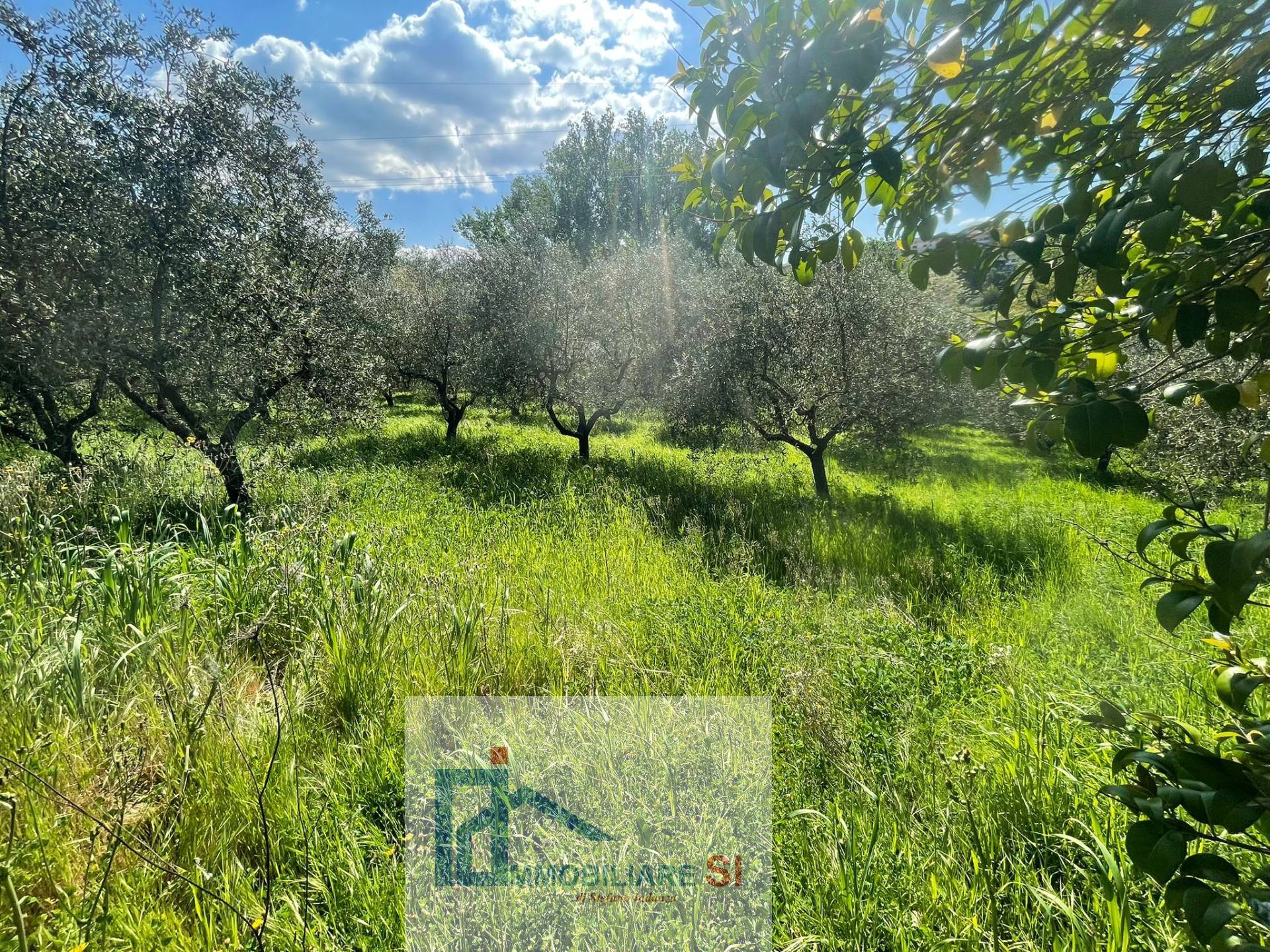 Terreno Agricolo in vendita a Benevento, Cretarossa