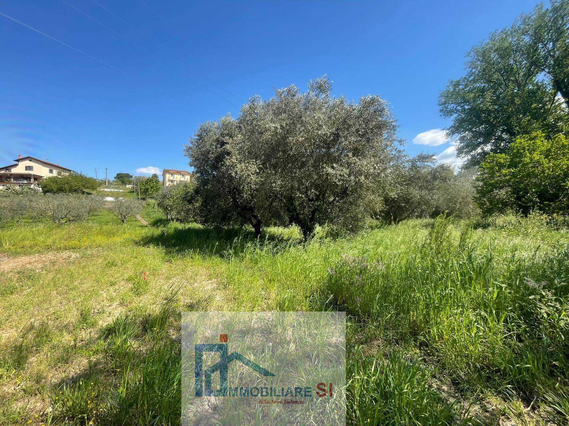 Terreno Agricolo in vendita a Benevento, Cretarossa