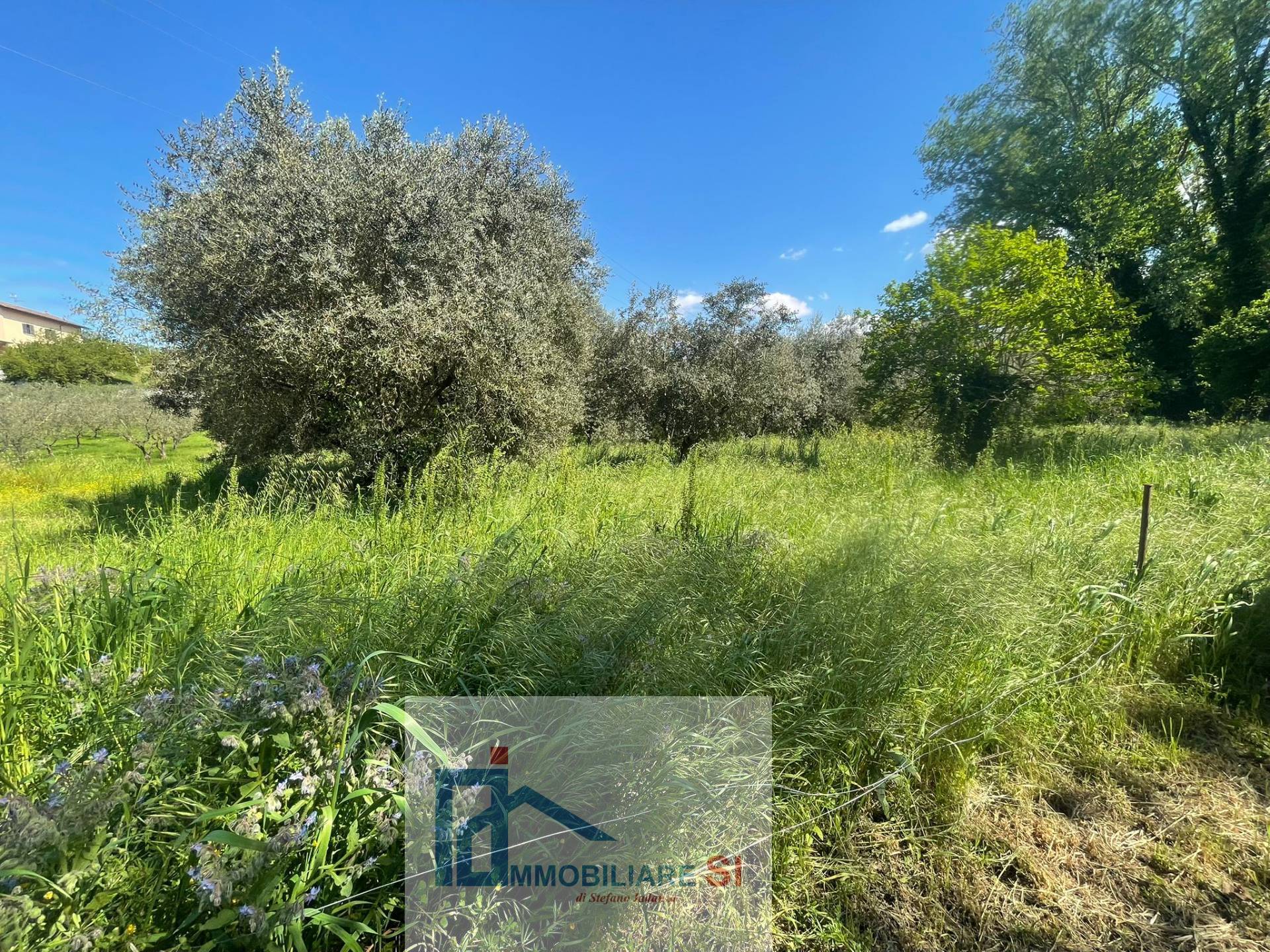 Terreno Agricolo in vendita a Benevento, Cretarossa