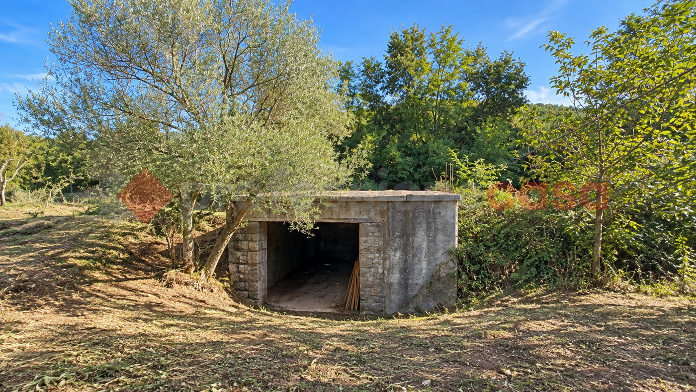 Terreno Agricolo in vendita a Torre Cajetani