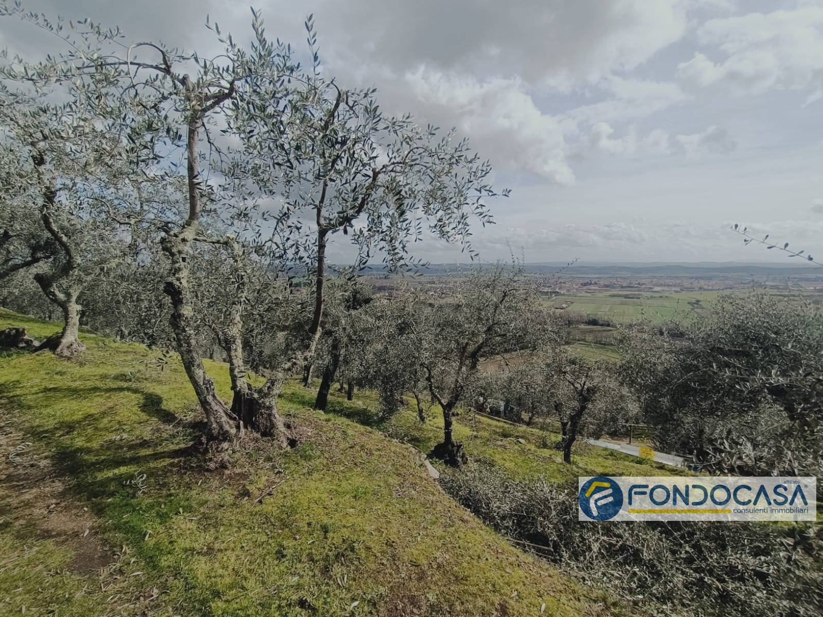 immagine annuncio 3 di 6