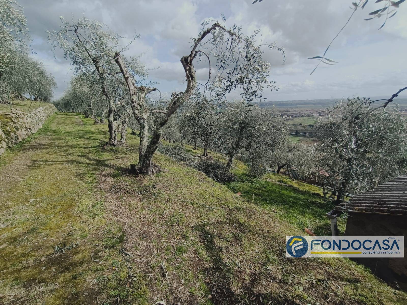 immagine annuncio 5 di 6