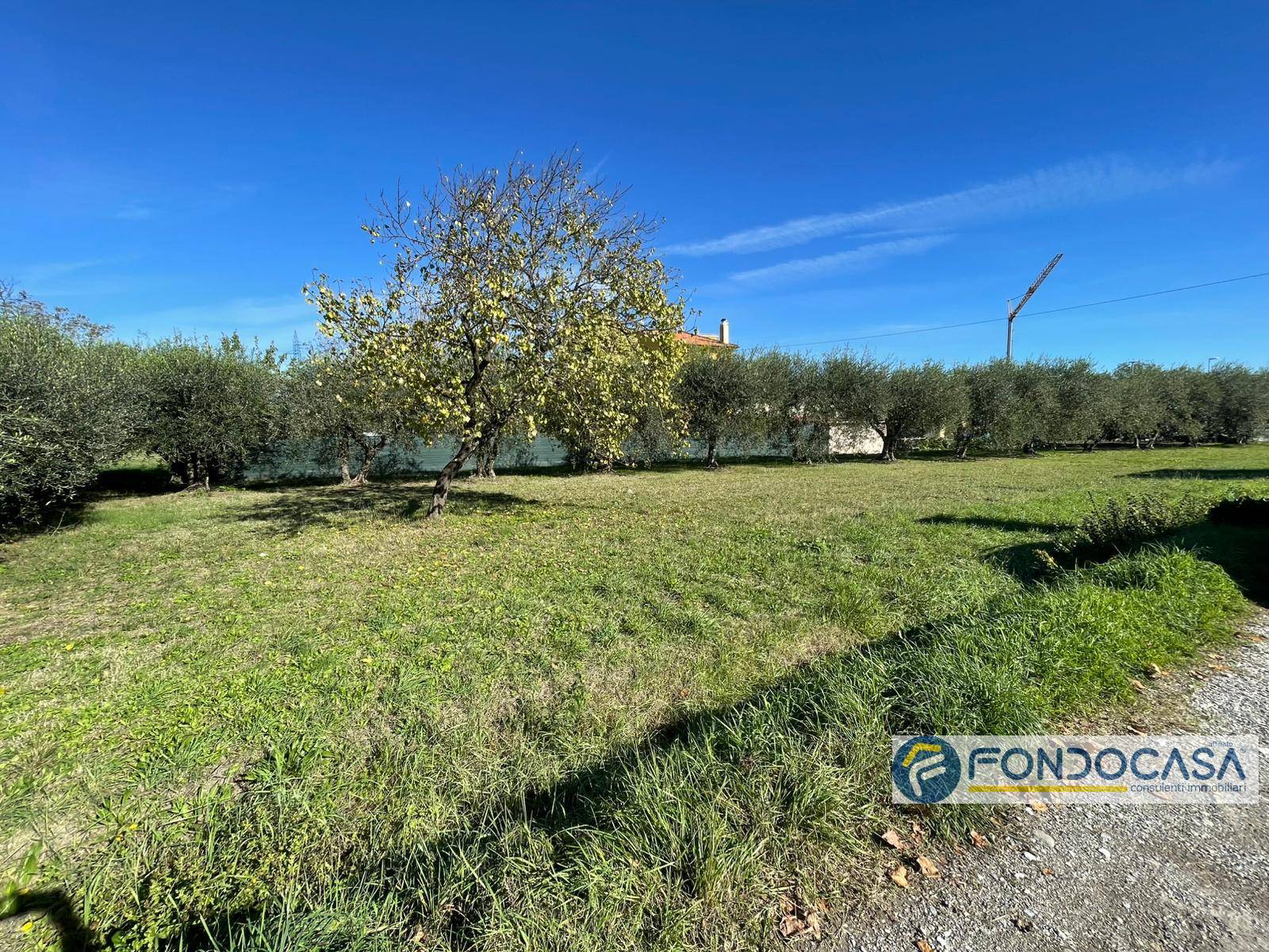Terreno Agricolo in vendita a Calcinaia, Fornacette