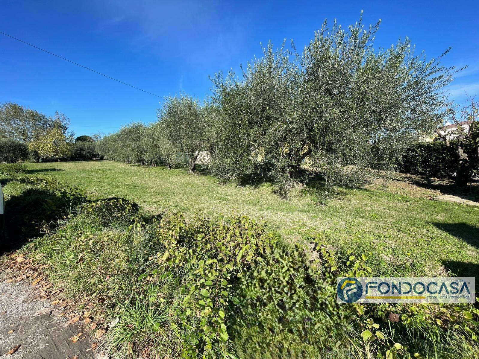 Terreno Agricolo in vendita a Calcinaia, Fornacette