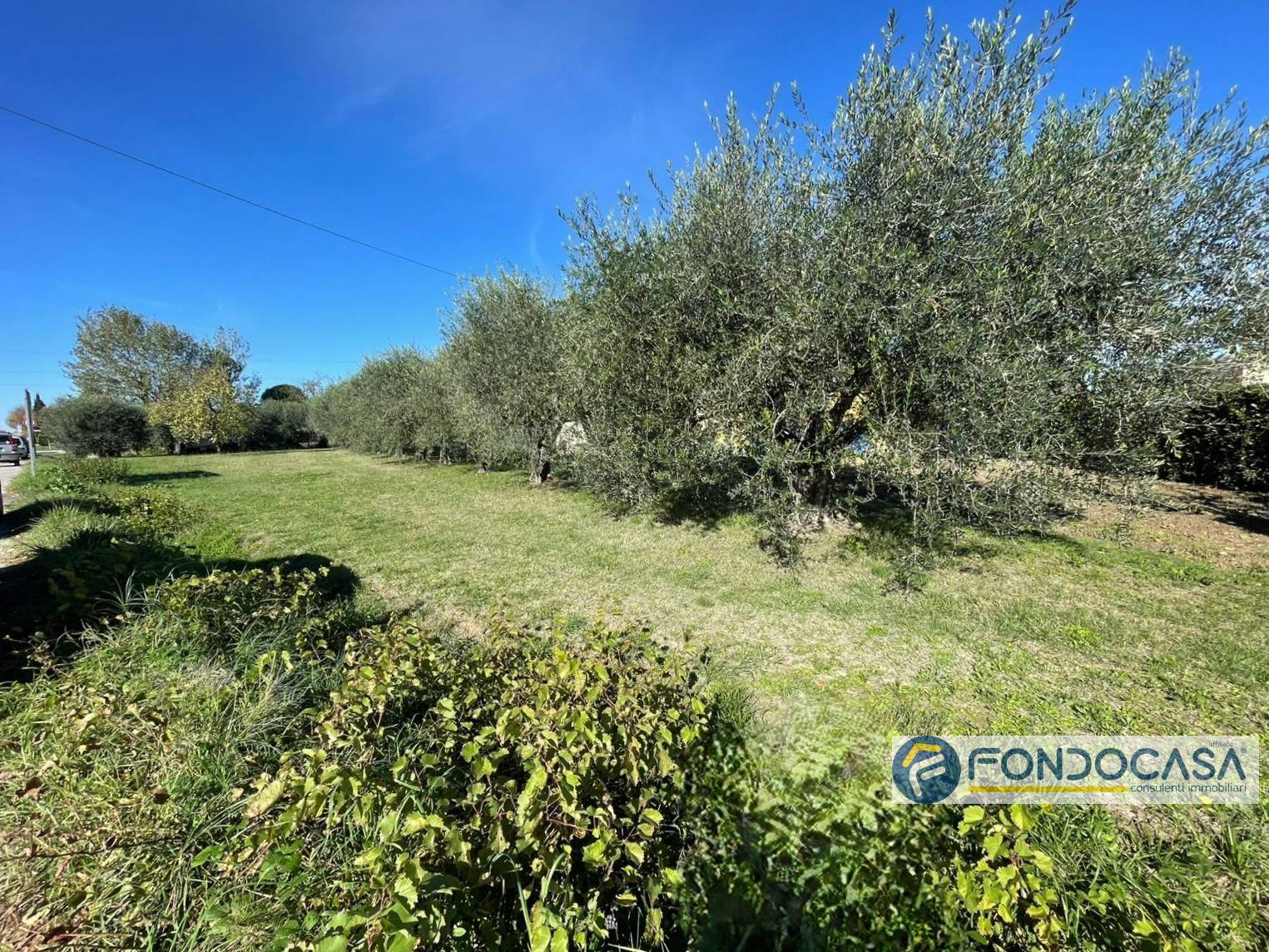 Terreno Agricolo in vendita a Calcinaia, Fornacette
