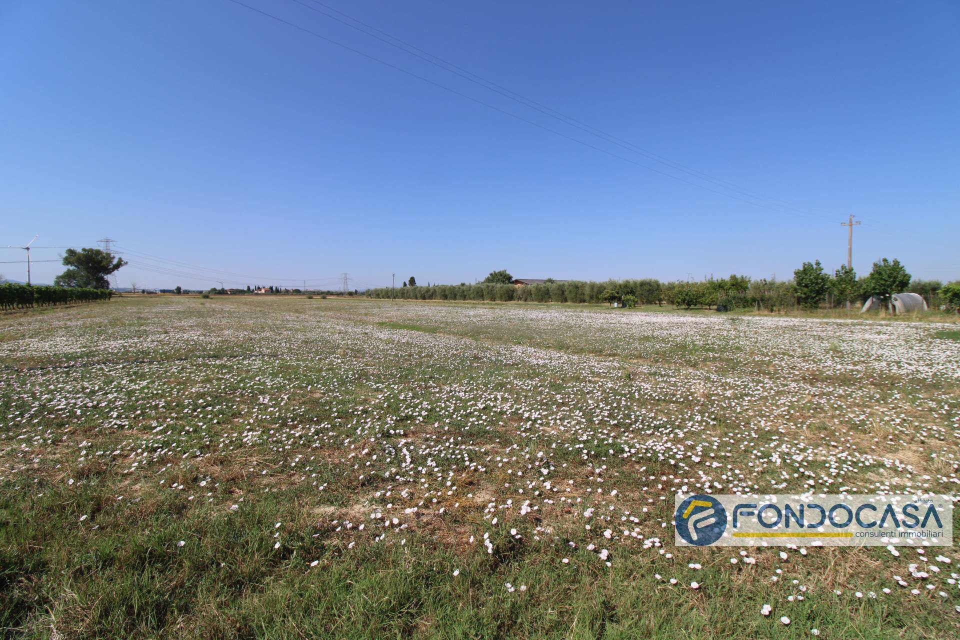 Terreno Agricolo in vendita a Pontedera