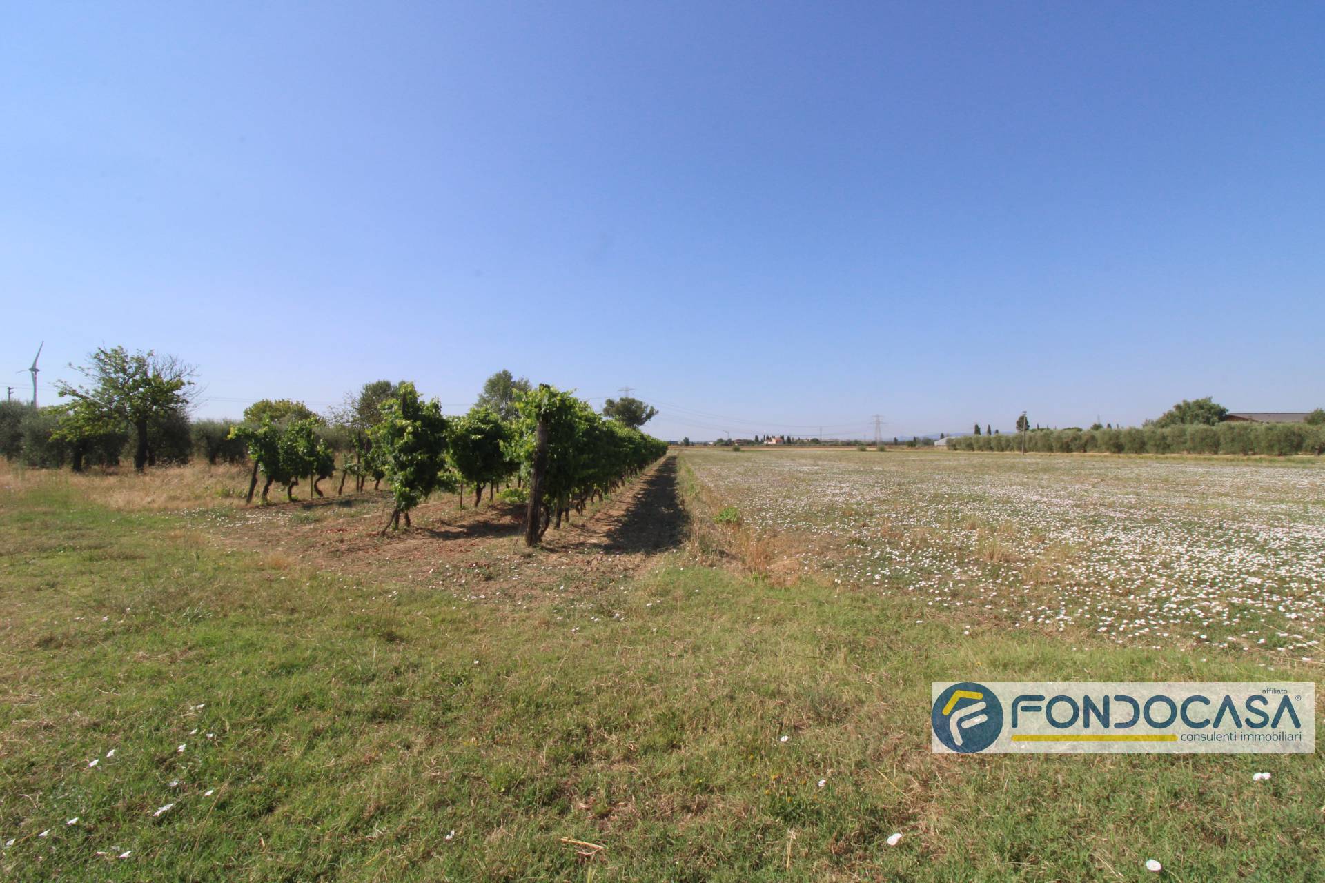 Terreno Agricolo in vendita a Pontedera