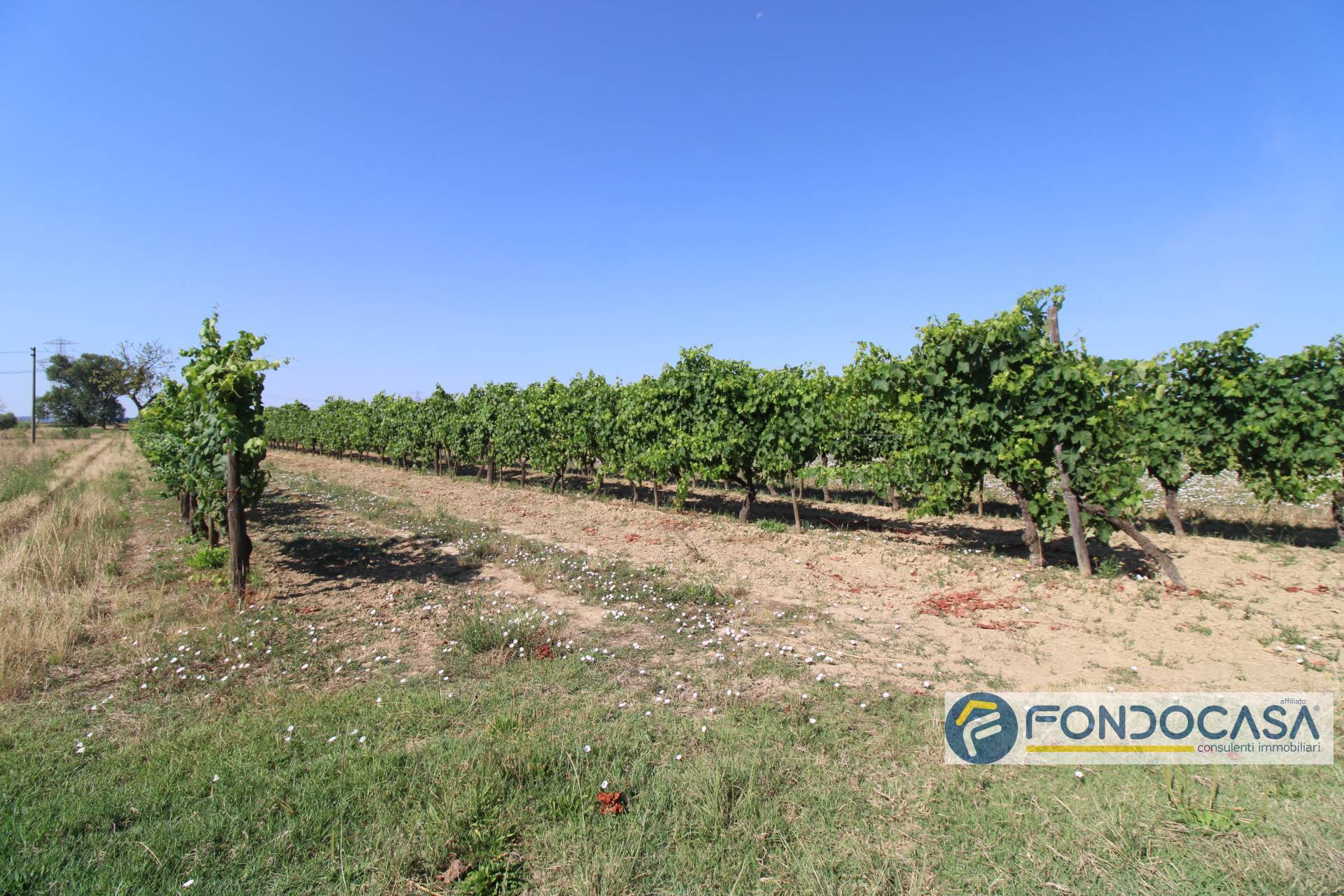 Terreno Agricolo in vendita a Pontedera