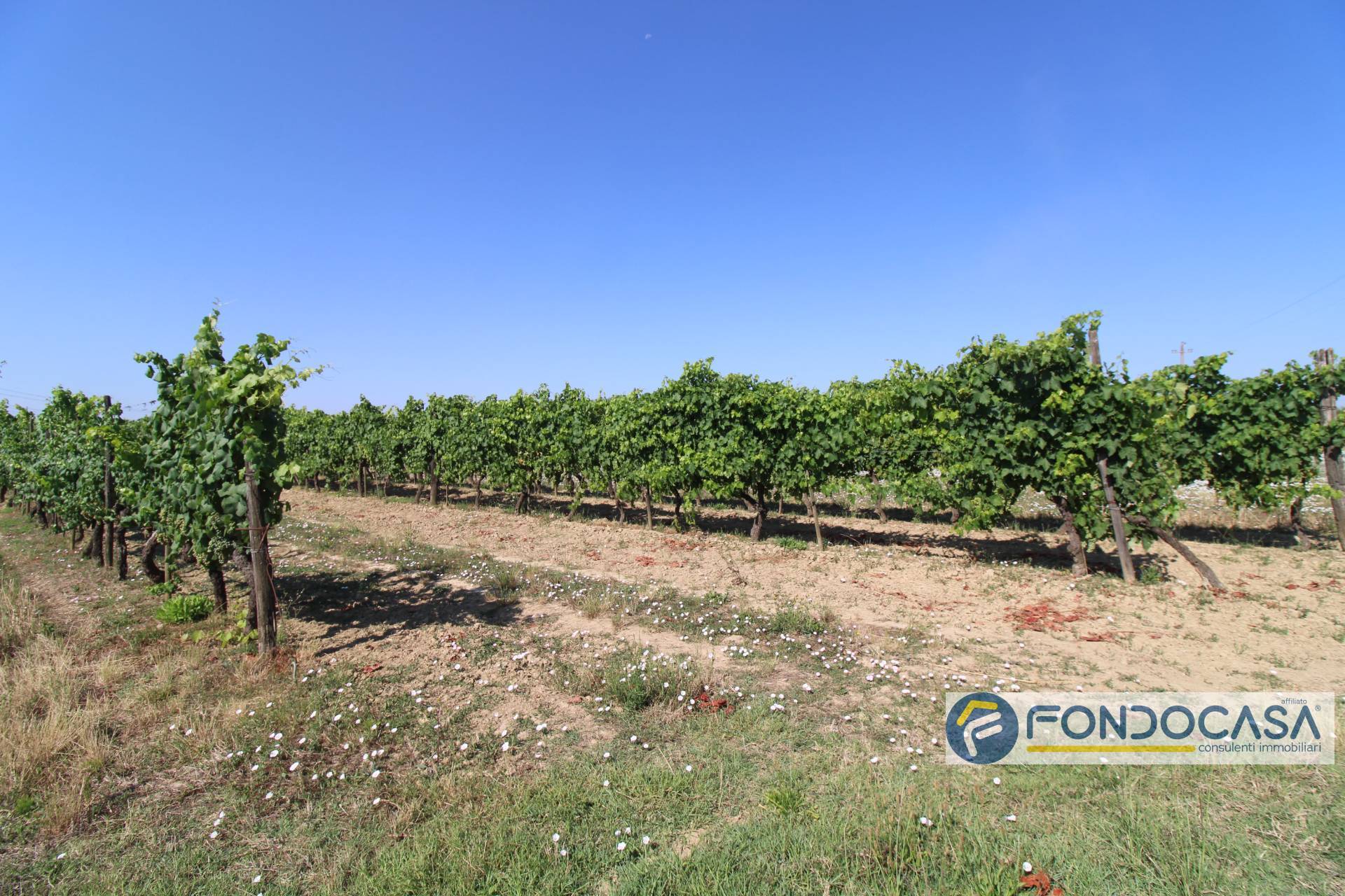 Terreno Agricolo in vendita a Pontedera