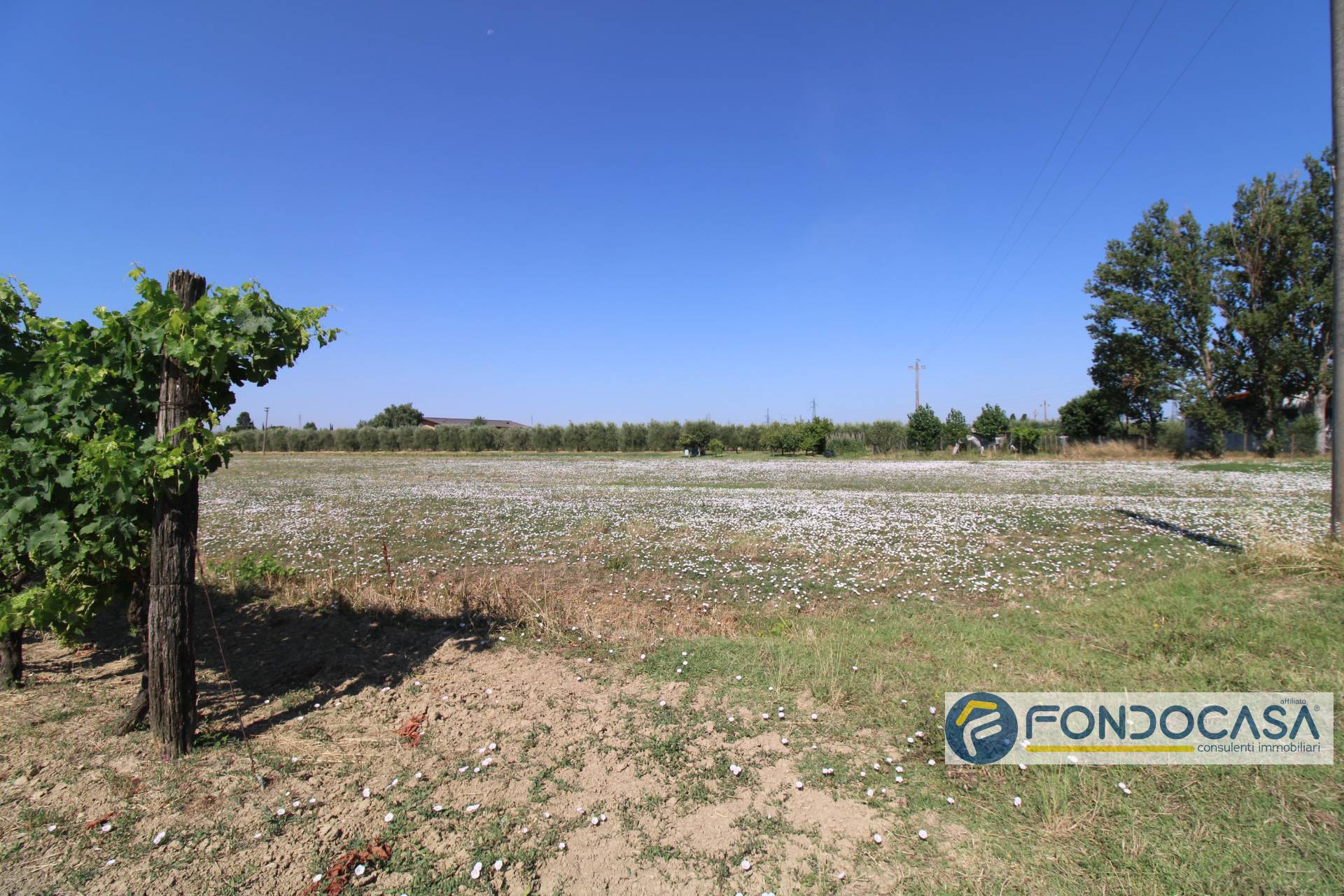 Terreno Agricolo in vendita a Pontedera